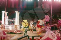 Rose-Carousel-B-42