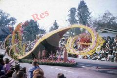 Rose-Carousel-B-76