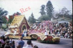 Rose-Carousel-B-96